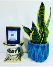 Load image into Gallery viewer, Bae candle 8.5 oz
